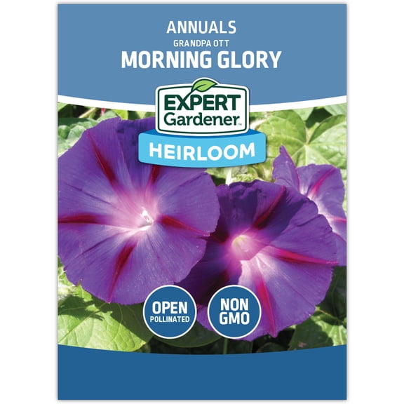 Expert Gardener Grandpa Ott Morning Glory Flower