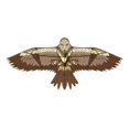 thumbnail image 1 of Eagle Kite fácil de volar portátil con cuerda para niños y adultos, grande, diversión, para parque, viaje, actividades al aire libre playa Marrón, 1 of 9