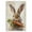 A, variant on Easter Rabbit Carrot Poster - 12''x16'' Unframed Wall Art,Spring Decor,Canvas Print
