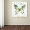 thumbnail image 3 of Trademark Fine Art "My Greenhouse Butterflies III" Canvas Art by Lisa Audit, 3 of 3