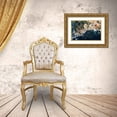 thumbnail image 3 of Fan, John 24x17 Gold Ornate Wood Framed with Double Matting Museum Art Print Titled - Splendid Africa, 3 of 4