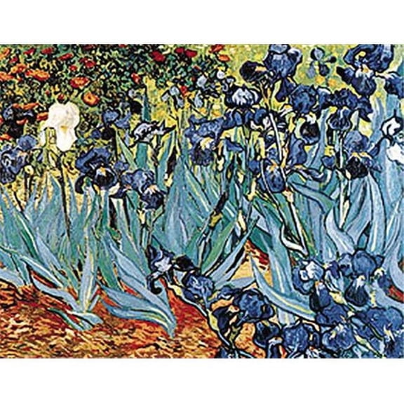 Hot Stuff 2075-11x14-GC 11 x 14 in. Irises Poster Print by Van Gogh