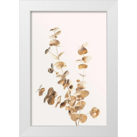 Artographie Studio 23x32 White Modern Wood Framed Museum Art Print Titled - Eucalyptus Gold No 04