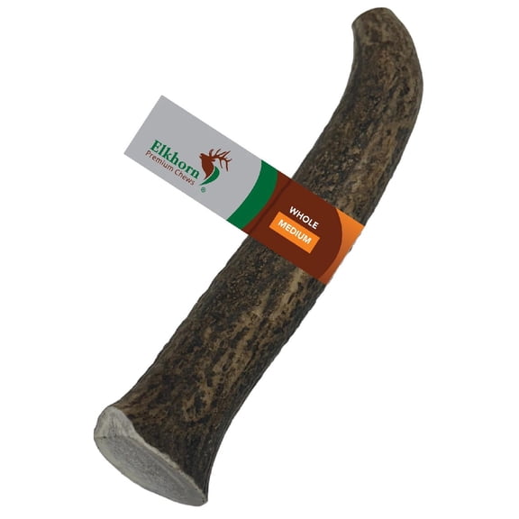 Elkhorn Premium Chews Medium whole (6-9” long) elk antler chew for 20-45 lb dogs (1 pack) all-natural premium-grade antler bone, sourced in the USA