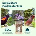 thumbnail image 5 of Birdfy Smart Bird Feeder with Camera, Bird Watching Camera with Solar Panel, AI Identify 6000+ Species, Eco-friendly Wooden, Ideal Gift, Ebony, 5 of 9