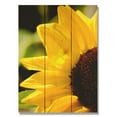 thumbnail image 2 of Day Dream WGYS1420 14 x 20 in. Yellow Sunflower Wall Art, 2 of 2
