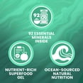 thumbnail image 3 of TrueSeaMoss Sea Moss Gel - Alternative Form of Sea Moss - Ashwagandha Sea Moss Gel - Sea Moss Gel Organic Raw - Made in the USA - Ashwagandha Sea Moss Gel 473 ml (16 Fl Oz), 3 of 9