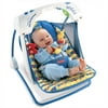 Fisher-Price Deluxe Take-Along Swing