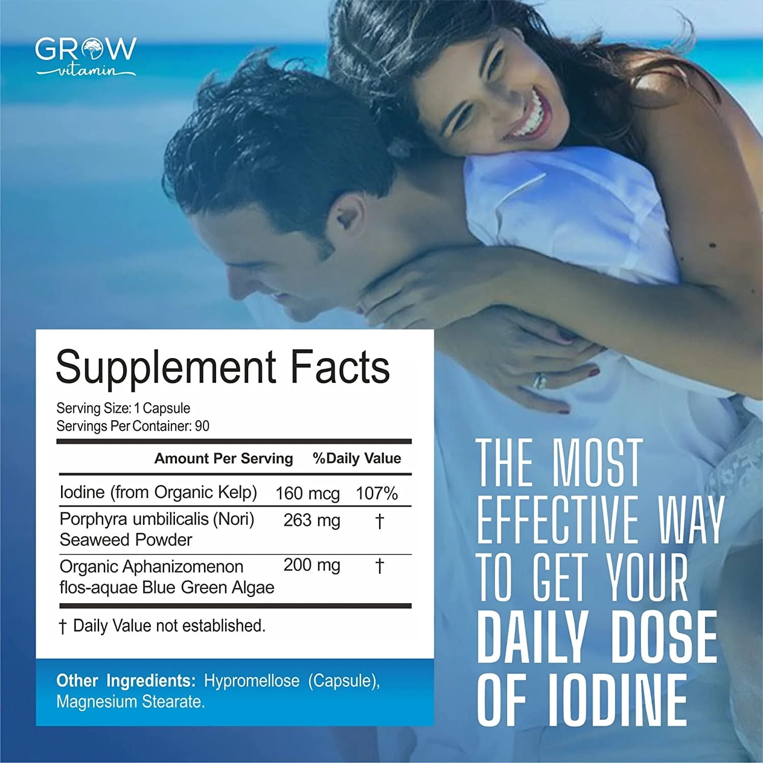 Organic Sea Kelp (Icelandic) Enhanced - Pure Healthy Thyroid Support Natural Iodine Supplement w/Organic Sea Kelp, Blue-Green Algae Red Algae - Immune System Metabolism Support - 90 Capsules