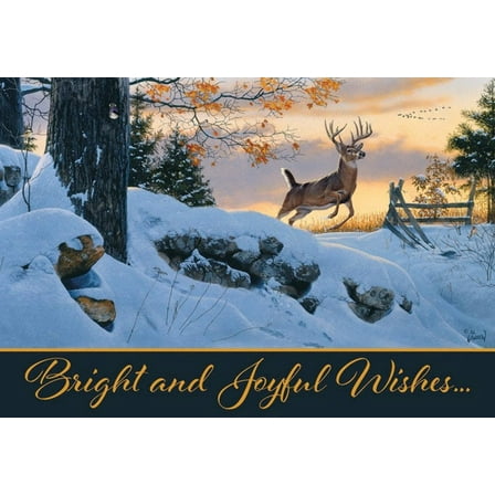 Christmas Greeting Card [CCC40147001]
