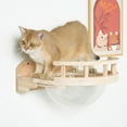 PETOMG Cat Shelves, DIY Cat Shelves, Cat Wall Furniture Cat Wall