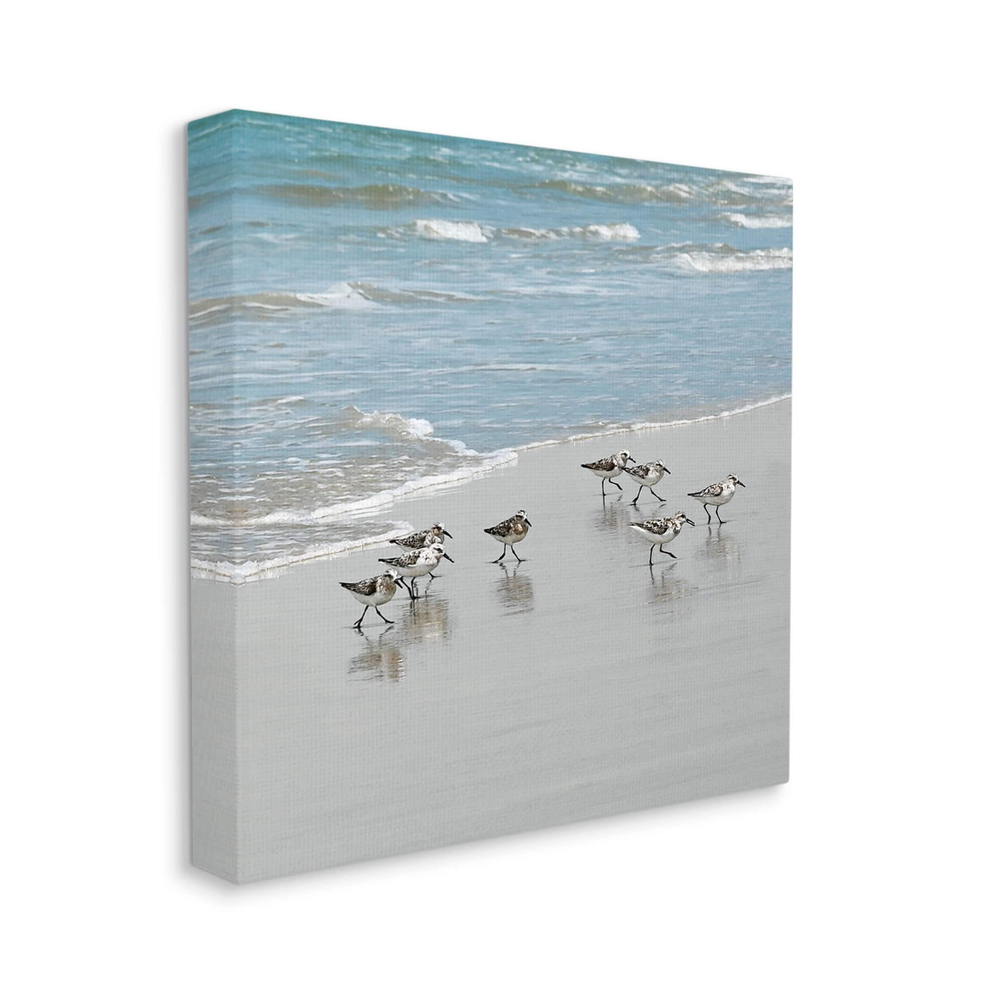 Stupell Industries Sandpipers Flock Sandy Beach Shore Coastal Painting Gallery Wrapped Canvas Print Wall Art