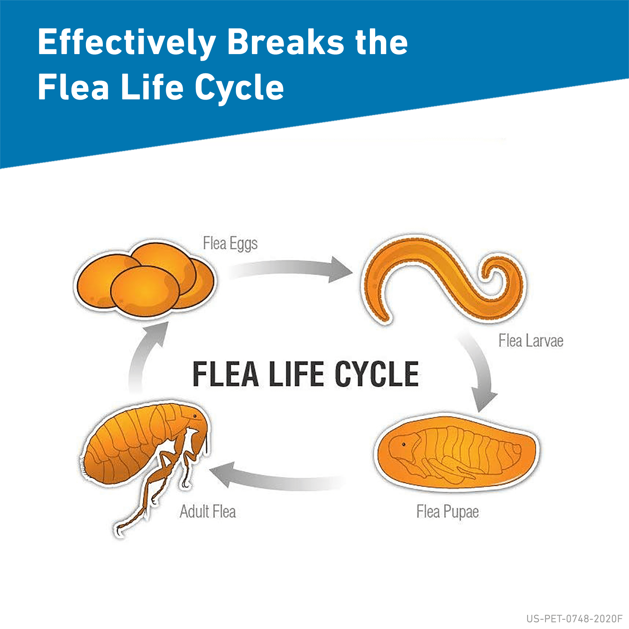 walmart frontline plus