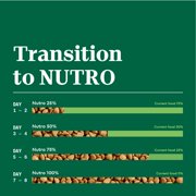 NUTRO NATURAL CHOICE Lamb & Brown Rice, Dry Dog Food for Healthy Weight Adult Dog, 30 lb. Bag