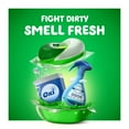 thumbnail image 2 of Gain flings! Liquid Laundry Detergent Soap Pacs, Spring Daydream Scent, 2 of 9