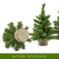 thumbnail image 4 of AuldHome Design Mini Christmas Trees (3-Pack, 8-Inch); Canadian Pine Greenery Tabletop Holiday Decor, 4 of 9