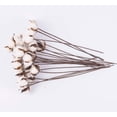 thumbnail image 4 of Paquete de 30 flores de algodón secas reales con tallo, 30 cm, 4 of 6