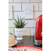Legrand adorne 20Amp 1-Gang Pop-Out Outlet in Gloss White With Matching Wall Plate, ARPTR201GW2WP With Wall Plate White