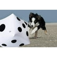 thumbnail image 3 of Juguetes inflables CCINEE Jumbo para piscina de 35 cm, paquete de 2, 3 of 6