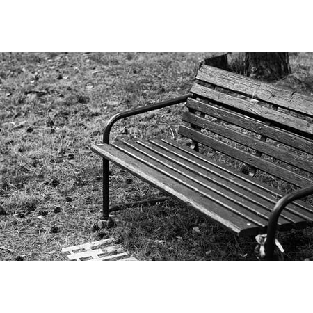 Canvas Print Outside Wooden Bench Travel Session Path Bench