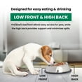 thumbnail image 6 of 2-Pack Heavy Weight Non-Skid Easy Feed High Back Pet Bowl For Dog Or Cat, 8 Oz, 1 Cup, 6 of 8