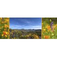 thumbnail image 2 of Popcorn 18x9 Black Ornate Wood Framed with Double Matting Museum Art Print Titled - Wildflower Collage X, 2 of 4