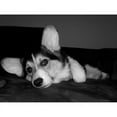 thumbnail image 2 of CafePress - Tri Pembroke Corgi. . .Reflec Mug - 11 oz Ceramic Mug - Novelty Coffee Tea Cup, 2 of 3
