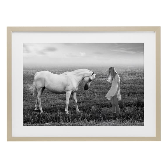 Her White Horse Birch Framed Print Under Glass, design by Ata Alishahi