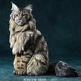 thumbnail image 6 of JXK Maine Coon Large Long-Haired Pet Cat Hand-Made Sitting Cool Handsome Kitten Simulation Model Ornaments, 6 of 9