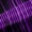 Black Purple, variant on Homewish Puppy Dog Paws Black Out Curtains,Kawaii Cat Curtains Pack of 2 (42x63 Each),White Black Bedroom Curtains For Boys Girls,Lightweight Room Decor