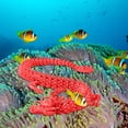 thumbnail image 3 of Dpityserensio Printed,Fish Tank Landscaping Decoration Printing Articulated, 3 of 5
