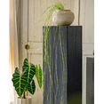 thumbnail image 6 of Artificial Rough Horsetail Thin Vine Ikebana, 6 of 10