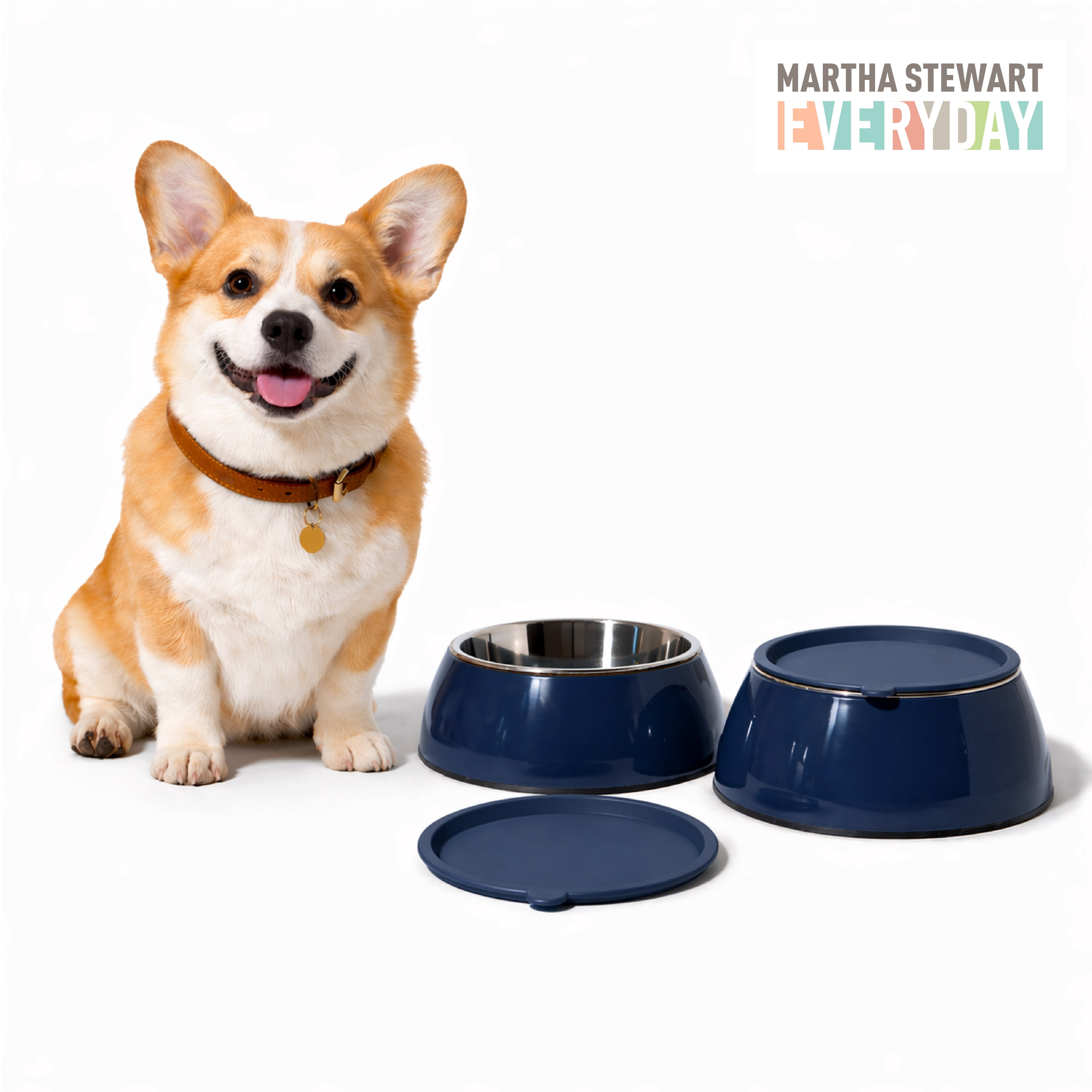 Martha Stewart 3 in 1 Large/X-Large Melamine Dog Bowl Set with Lid Navy