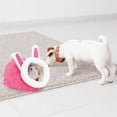 thumbnail image 3 of Injueey Casa para dormir de animales con esterilla, suministros de algodón, jaula colgante ligera, nido de animales pequeños, tienda para el Juegos de accesorios de baño Tipo 1, 3 of 6