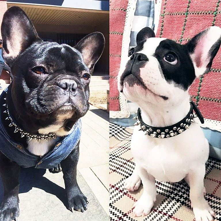 Custom Dog Collar Leather Dog Tag Collars Engraved Pet ID Tag Collars For  Small Medium Large Dogs French Bulldog Pug Pitbull