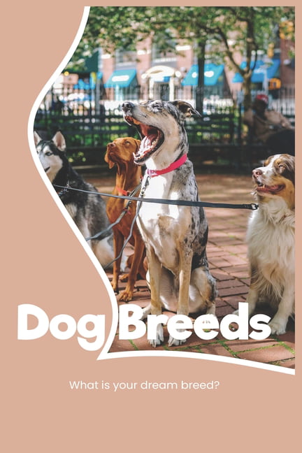MY DOG BREEDS POSTER MORE THAN 100 WORLD DOGS SPECIE FOR EDUCATION DEMONSTRATION 