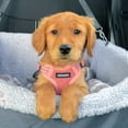 thumbnail image 2 of Best Pet Supplies Voyager Step-In Flex Adjustable Mesh Dog Harness, 2 of 10