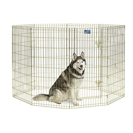Midwest Foldable Metal Exercise Pen Pet Playpen Gold Zinc W