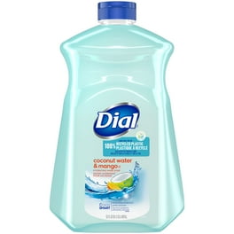 Dial Corporation 88047 Dial Liquid Gold Antimicrobial Soap 1 Gal Walmart