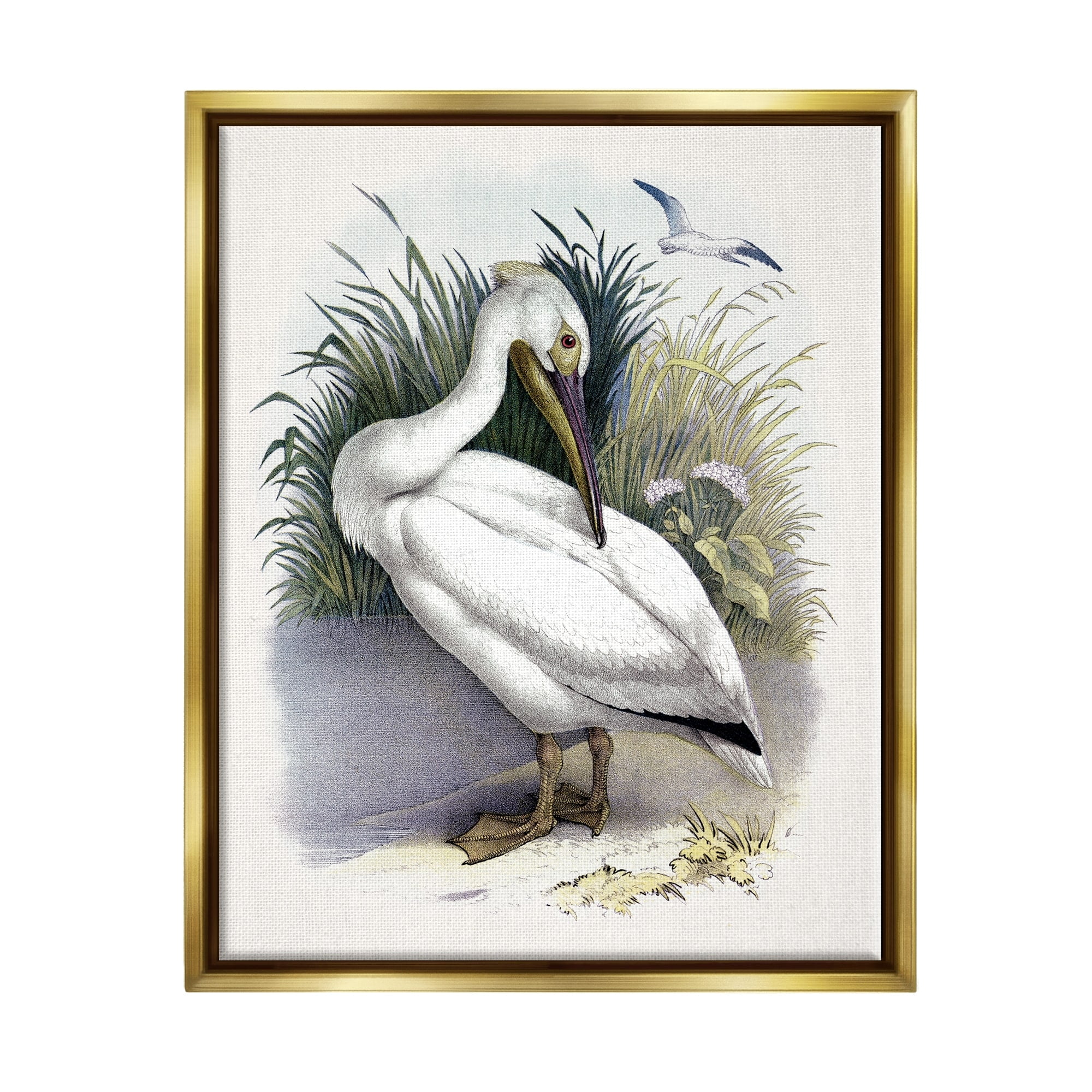 Stupell Industries White Pelican Bird Preening Grassy Riverbank Shore Painting Metallic Gold Floating Framed Canvas Print Wall Art, Design by Piddix