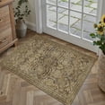 thumbnail image 4 of BERTHMEER 2'x3' Small Area Rugs for Entryway Bedroom Bathroom Entrance Doormat Indoor,Vintage Traditional Distressed Rugs Washable Non-slip,Brown Carpets, 4 of 8