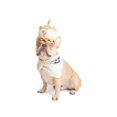 thumbnail image 4 of One Paw, Birthday Plush Hat & Reversible Bandana For Dogs, 4 of 5