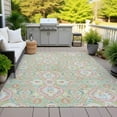 thumbnail image 4 of Dalyn Rugs Machine Washable Indoor/Outdoor Chantille ACN2207 Aloe 10' x 14' Rug, 4 of 9