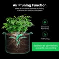 thumbnail image 6 of VIVOSUN 5-Pack 7 Gallon Visible Potato Grow Bags, Thick Fabric Potato Pots with 360° Visibility & Harvest Window, Potato Growing Containers Potato Planter Potato Planter for Growing Potatoes, Black, 6 of 9