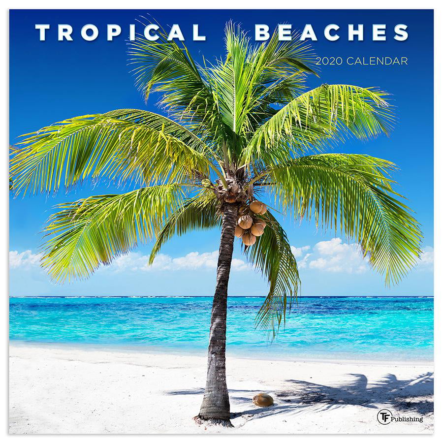 Tropical Beaches 2020 Calendar 16 Month Wall Hanging 11 X 10 Inch Beach Scenes 