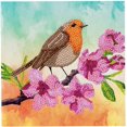 thumbnail image 2 of Kit de Cartes CA : Robin, 2 of 3