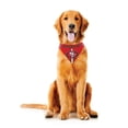thumbnail image 1 of Bandana pour Chien San Francisco 49ers Taille m, 1 of 5