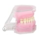 thumbnail image 4 of Modelo de diente de resina desmontable estudio estándar enseñanza implante modo dental para la práctica de enseñanza, 4 of 8