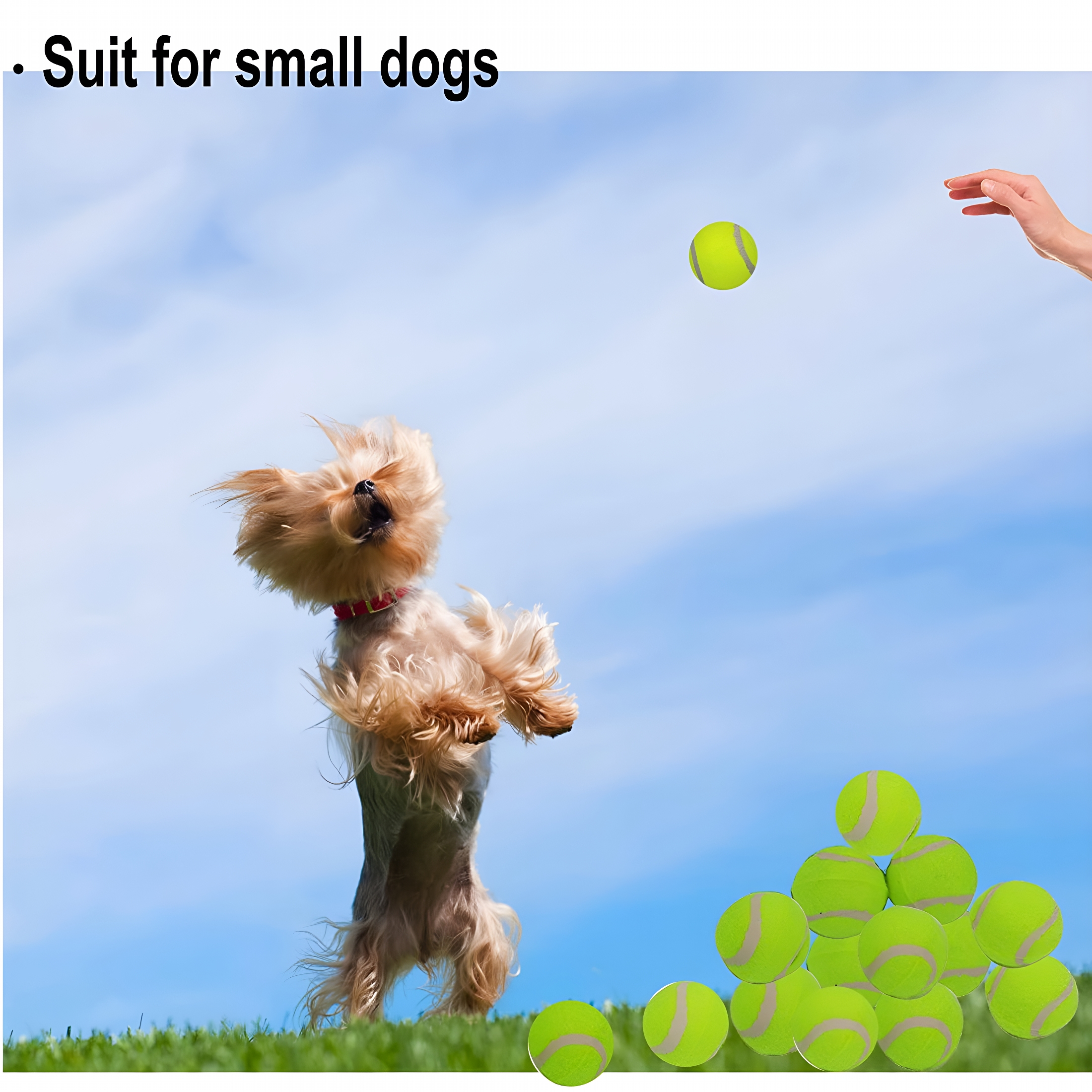 ACDANC 2 inches Tennis Ball Suitable for Small Automatic Ball Thrower Dog Fetching Ball Game, 20 Packs