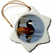 3dRose Male Ruddy duck, Henderson, Nevada - US29 MPR0067 - Maresa Pryor, Snowflake Ornament, Porcelain, 3-inch
